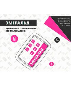 Купить Цифровая лаборатория Эмеральд для ученика (математика) [2.19.3] в интернет-магазине Irkshop.ru