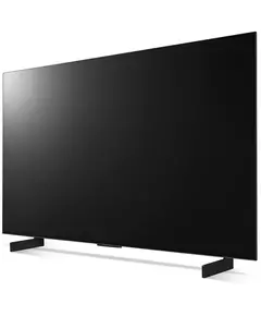 Купить ЖК-телевизор LG OLED42C4RLA.ARUB OLED 42" 4K Ultra HD 120Hz DVB-T DVB-T2 DVB-C DVB-S2 USB WiFi Smart TV черный, изображение 10 в интернет-магазине Irkshop.ru