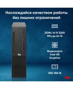 Купить ПК iRU 310SC SFF i3 12100 (3.3) 16Gb SSD256Gb UHDG 730 Windows 11 Professional GbitEth 200W черный, изображение 21 в интернет-магазине Irkshop.ru