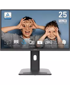 Купить ЖК-монитор MSI Pro MP253P 24.5" IPS LED 16:9 HDMI M/M HAS Piv 300cd 178гр/178гр 1920x1080 100Hz VGA DP FHD 2.7кг черный [9S6-3PC79H-055] в интернет-магазине Irkshop.ru