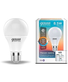 Купить Gauss IoT Smart Home E27 8.5Вт 806lm Wi-Fi [1130112] в интернет-магазине Irkshop.ru