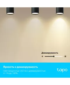 Купить Умная лампа TP-Link TAPO L630 GU10 3.7Вт 350lm Wi-Fi, изображение 9 в интернет-магазине Irkshop.ru