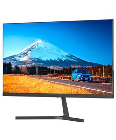 Купить ЖК-монитор SunWind SM-24FI221 23.8" IPS LED 16:9 HDMI M/M матовая 250cd 178гр/178гр 1920x1080 100Hz G-Sync VGA DP FHD 3.0кг черный [SM24SB01] в интернет-магазине Irkshop.ru