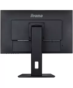 Купить ЖК-монитор Iiyama ProLite XUB2492HSN-B5 23.8" IPS LED 16:9 HDMI M/M матовая HAS Piv 250cd 178гр/178гр 1920x1080 75Hz DP FHD USB 5.6кг черный, изображение 8 в интернет-магазине Irkshop.ru