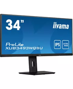 Купить ЖК-монитор Iiyama ProLite XUB3493WQSU-B5 34" IPS LED 21:9 HDMI M/M матовая HAS Piv 400cd 178гр/178гр 3440x1440 75Hz FreeSync DP UW USB 9.4кг черный в интернет-магазине Irkshop.ru