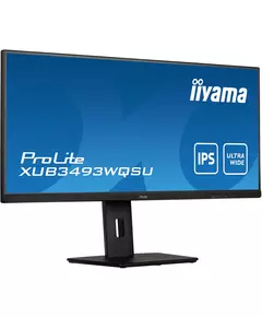 Купить ЖК-монитор Iiyama ProLite XUB3493WQSU-B5 34" IPS LED 21:9 HDMI M/M матовая HAS Piv 400cd 178гр/178гр 3440x1440 75Hz FreeSync DP UW USB 9.4кг черный, изображение 3 в интернет-магазине Irkshop.ru