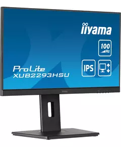 Купить ЖК-монитор Iiyama ProLite XUB2293HSU-B6 21.5" IPS LED 1ms 16:9 HDMI M/M матовая HAS Piv 1000:1 250cd 178гр/178гр 1920x1080 100Hz DP FHD USB 3.9кг черный, изображение 4 в интернет-магазине Irkshop.ru