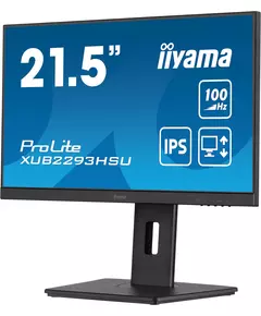 Купить ЖК-монитор Iiyama ProLite XUB2293HSU-B6 21.5" IPS LED 1ms 16:9 HDMI M/M матовая HAS Piv 1000:1 250cd 178гр/178гр 1920x1080 100Hz DP FHD USB 3.9кг черный в интернет-магазине Irkshop.ru