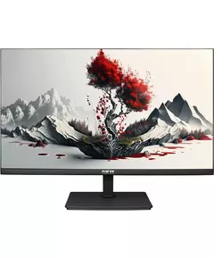 Купить ЖК-монитор RDW Computers RDW2401K/Q00B0 23.8" IPS 6ms 16:9 HDMI матовая 1000:1 250cd 178гр/178гр 2560x1440 75Hz DP 4.2кг черный в интернет-магазине Irkshop.ru