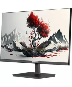 Купить ЖК-монитор RDW Computers RDW2401K/Q00B0 23.8" IPS 6ms 16:9 HDMI матовая 1000:1 250cd 178гр/178гр 2560x1440 75Hz DP 4.2кг черный, изображение 2 в интернет-магазине Irkshop.ru