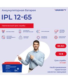 Купить Батарея для ИБП Ippon IPL12-65 12В 65Ач, изображение 2 в интернет-магазине Irkshop.ru