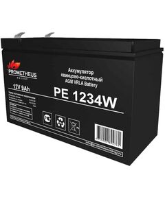 Купить Батарея для ИБП Prometheus Energy PE 1234 W 12В 9Ач в интернет-магазине Irkshop.ru