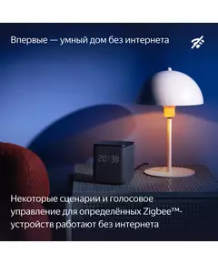 Купить Умная колонка Яндекс Станция Миди Алиса оранжевый 24W 1.0 BT/Wi-Fi 10м [YNDX-00054ORG], изображение 8 в интернет-магазине Irkshop.ru