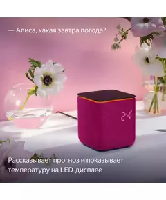 Купить Умная колонка Яндекс Станция Миди Алиса малиновый 24W 1.0 BT/Wi-Fi 10м [YNDX-00054PNK], изображение 11 в интернет-магазине Irkshop.ru