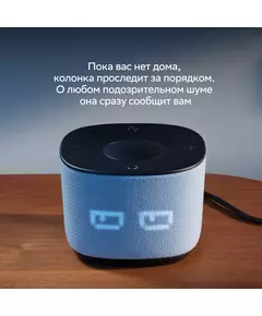 Купить Умная колонка Sber Boom Home Салют серый 8W Mono BT/Wi-Fi (без.бат) [SBDV-00171G], изображение 20 в интернет-магазине Irkshop.ru