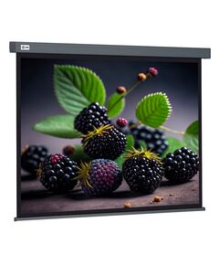 Купить Экран Cactus CS-PSW-127X127-SG 127x127см Wallscreen 1:1 настенно-потолочный рулонный серый, изображение 2 в интернет-магазине Irkshop.ru