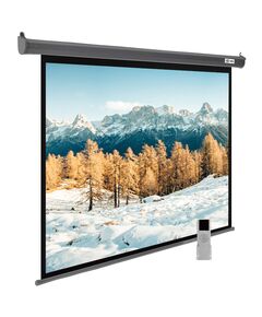 Купить Экран Cactus CS-PSSME-300X188-DG 188x300см SIlverMotoExpert CS-PSSME-300X188-DG 16:10 настенно-потолочный рулонный тёмно-серый (моторизованный привод), изображение 3 в интернет-магазине Irkshop.ru