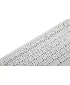 Купить Клавиатура + мышь A4-Tech Fstyler FG1012 WHITE клав:белый мышь:белый USB беспроводная Multimedia, изображение 14 в интернет-магазине Irkshop.ru