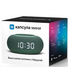 Купить Умная колонка VK Капсула Мини Маруся зел.хвойный 5W 1.0 BT 10м [MRC02SG], изображение 6 в интернет-магазине Irkshop.ru