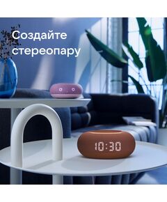 Купить Умная колонка VK Капсула Мини Маруся терракотовый 5W 1.0 BT 10м [MRC02PK], изображение 14 в интернет-магазине Irkshop.ru