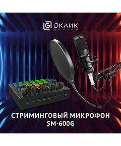 Купить Микрофон проводной Oklick SM-600G 2.5м черный [1796784], изображение 30 в интернет-магазине Irkshop.ru