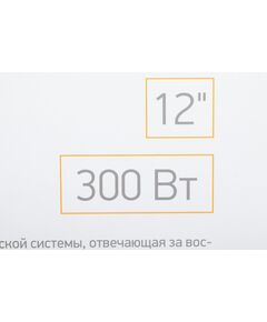 Купить Сабвуфер автомобильный Digma DCS-120 300Вт активный, изображение 15 в интернет-магазине Irkshop.ru