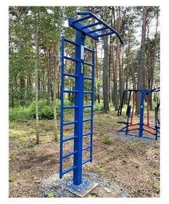Уличный тренажер турник двухуровневый со шведской стенкойAVU040 фотографии