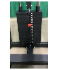 Голень машина стоя 100 кг AV251/80 фотографии