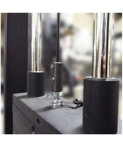 Торс машина 60 кг AV221/80 фотографии