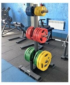 Подставка для олимпийских грифов и дисков AV608/80 фотографии