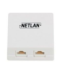 Купить Настенная розетка Netlan EC-UWO-2-UD2-WT-10 2 порта, Кат.5e (Класс D), 100МГц, RJ45/8P8C, 110, T568A/B, неэкранированная, белая, уп-ка 10шт. в интернет-магазине Irkshop.ru