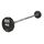 Набор штанг Gymmaster ANA-025 полиуретановых, 10 кг - 55 кг (10 шт. - шаг 5 кг) фотографии