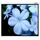 Экраны для проекторов: Экран Lumien Master Picture 120" NTSC MW 183 x 244cm 120", 4:3 [LMP-100110] фотографии
