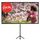 Экраны для проекторов: Экран Sakura TriScreen 1:1 SCPST-220x220 220x220 см, напольный рулонный белый, 123" фотографии