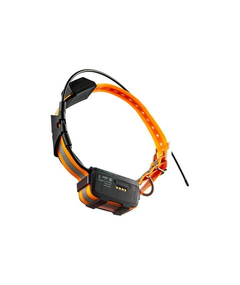 Дополнительный усиленный GPS-ошейник Artelv COLLAR 2W [GPSCOLLARa2W] фотографии