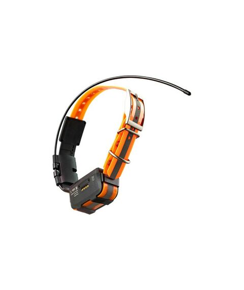 Дополнительный усиленный GPS-ошейник Artelv COLLAR 2W [GPSCOLLARa2W] фотографии