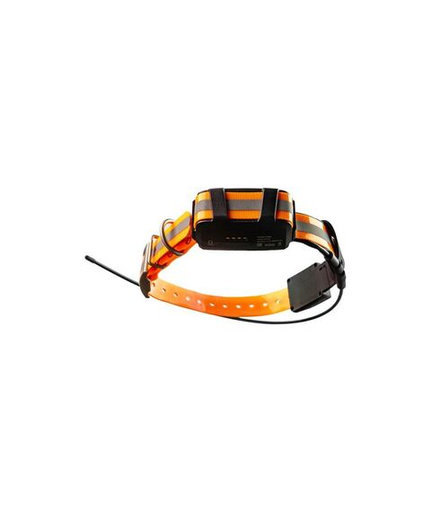 Дополнительный усиленный GPS-ошейник Artelv COLLAR 2W [GPSCOLLARa2W] фотографии
