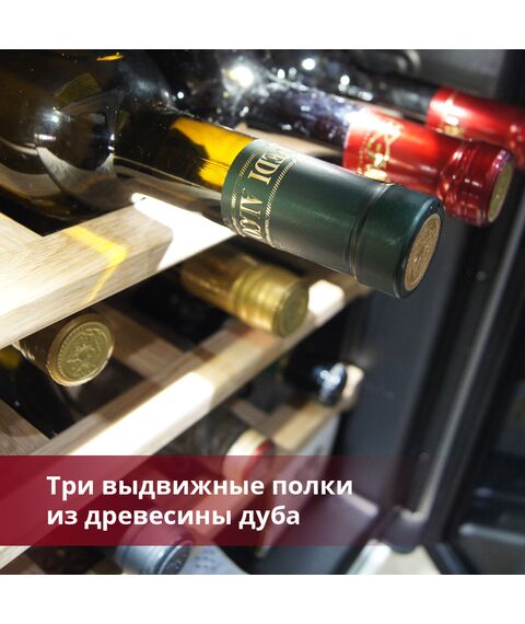 Винный шкаф Indel B (Италия) BUILT-IN 24 HOME PLUS фотографии