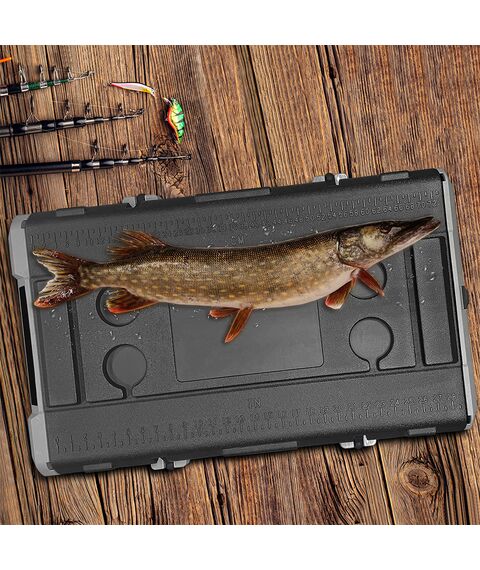 Компрессорный автохолодильник Meyvel AF-H80 фотографии