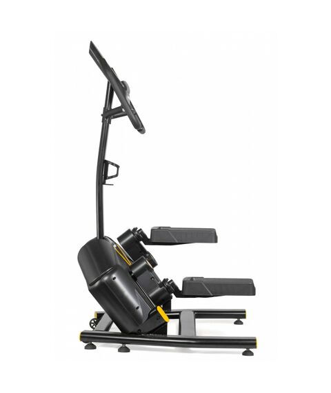 Степпер поперечный VictoryFit VF-E9006 фотографии