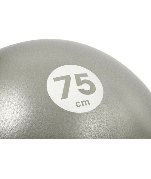 Фитнес оборудование: Гимнастический мяч Reebok Gymball 75cm [RAB-40017BK] фотографии