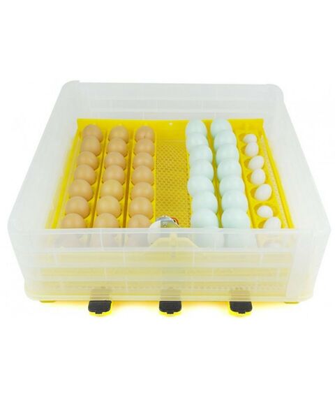 Инкубаторы: Инкубатор автоматический SITITEK 96 фотографии