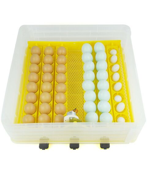 Инкубаторы: Инкубатор автоматический SITITEK 96 фотографии