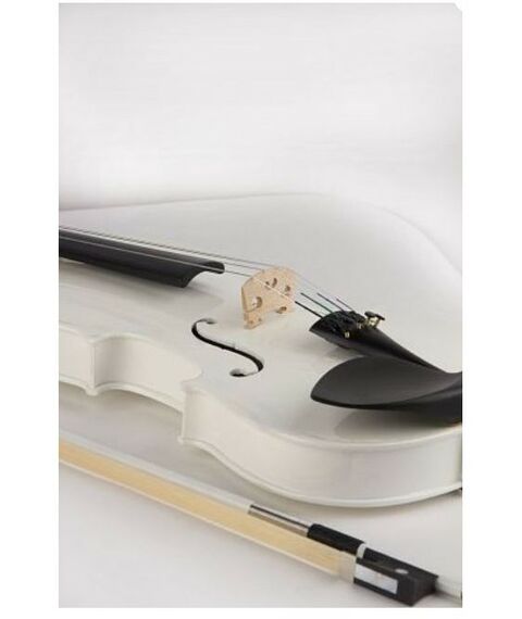 Смычковые инструменты: Скрипка Alina AVW05A размер 3/4, со смычком, в футляре, цвет белый фотографии