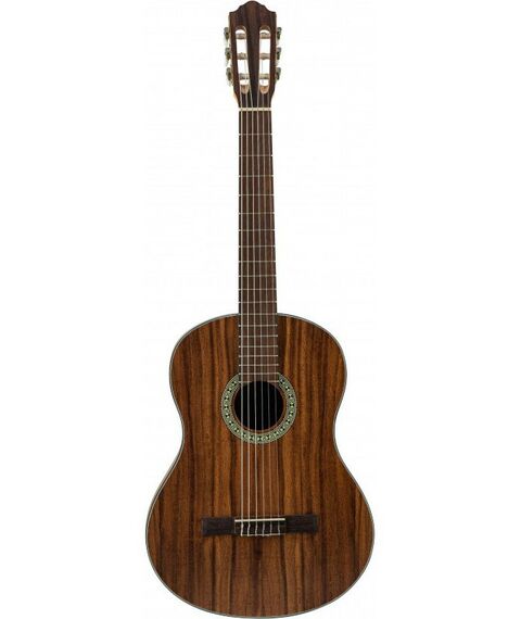 Акустические гитары: Гитара классическая 4/4 Flight C-110 TEAK 4/4 фотографии