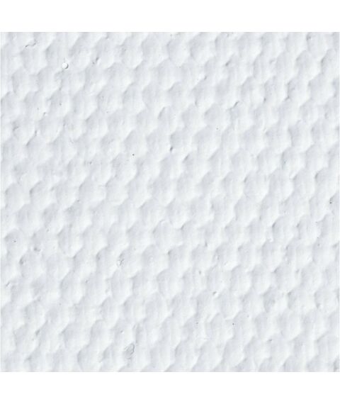 Бумага: Холст грунтованный в рулоне BRAUBERG Art Classic 2,1x10 м, 380 г/м2, хлопок, среднее зерно [191033] фотографии