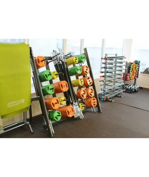 Фитнес оборудование: Штанга для аэробики PROFI-FIT 20090, обрезиненные диски (1.25 кг, 2.5 кг, 5 кг) по 2шт фотографии