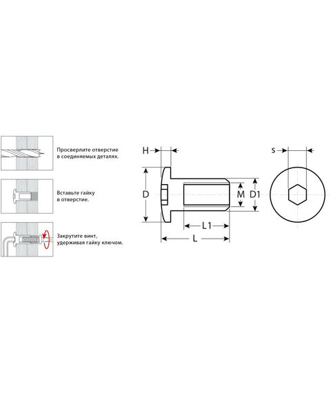 Мебельный крепеж: Гайка Эриксона с полукруглой головкой Зубр M6x12мм 5 кг (730 шт), оцинкованная, шест. 4мм, [303760-4] фотографии