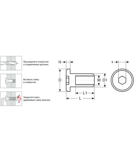 Мебельный крепеж: Гайка Эриксона с плоской головкой Зубр M6x12мм 5 кг (755 шт), оцинкованная, шест. 4мм [303770-4] фотографии
