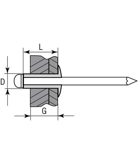 Заклепки: Нержавеющие заклепки Зубр Профессионал 4.0 х 12 мм 1000 шт [31316-40-12] фотографии
